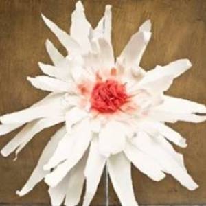 简单漂亮大纸花的做法 这款威廉希尔中国官网
花可以用作宴会装饰