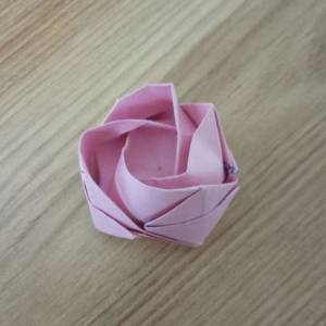 教你怎么制作经典的威廉希尔中国官网
川崎玫瑰 七夕情人节礼物的玫瑰花