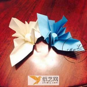 新颖的威廉希尔中国官网
千纸鹤教程 创意手工纸鹤DIY折叠