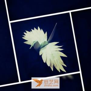 展翅飞翔的威廉希尔中国官网
千纸鹤创新制作教程