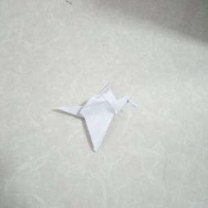 简单威廉希尔中国官网
千纸鹤 手工图解实拍图教程教你折千纸鹤