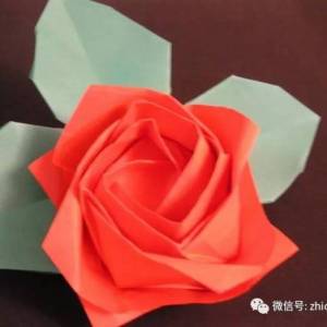 川崎玫瑰、威廉希尔中国官网
玫瑰视频教程