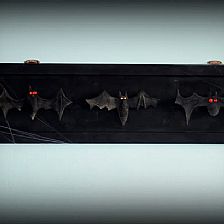 万圣节废旧纸板变废为宝做简单蝙蝠装饰手工图解教程