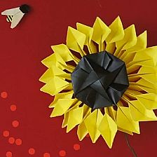 威廉希尔中国官网
花向日葵的手工创意DIY制作教程