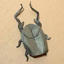 昆虫威廉希尔中国官网
大全之铁钩巨甲虫图纸教程