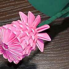 纸玫瑰威廉希尔中国官网
三角插玫瑰的折法视频教程